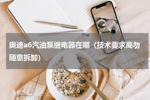 奥迪a6汽油泵继电器在哪（技术要求高勿随意拆卸）
