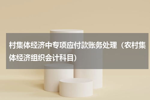 村集体经济中专项应付款账务处理（农村集体经济组织会计科目）