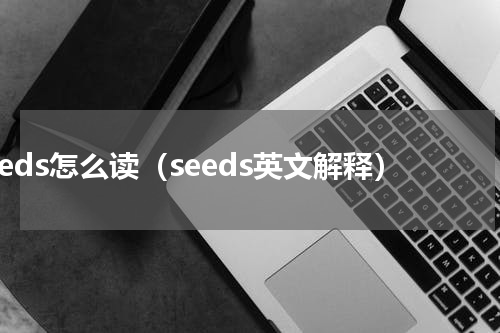 seeds怎么读（seeds英文解释）