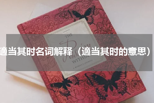 適当其时名词解释（適当其时的意思）
