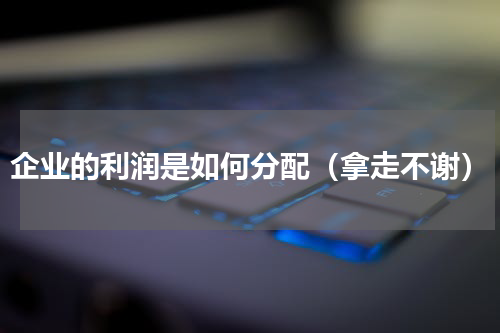 企业的利润是如何分配（拿走不谢）