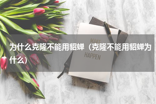 为什么克隆不能用貂蝉（克隆不能用貂蝉为什么）