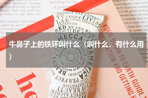 牛鼻子上的铁环叫什么（叫什么，有什么用）