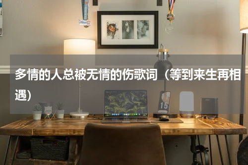 多情的人总被无情的伤歌词（等到来生再相遇）