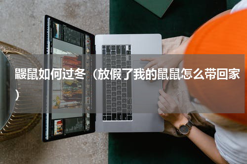 鼹鼠如何过冬（放假了我的鼠鼠怎么带回家）