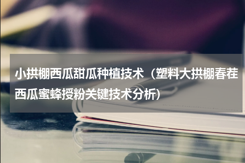小拱棚西瓜甜瓜种植技术（塑料大拱棚春茬西瓜蜜蜂授粉关键技术分析）