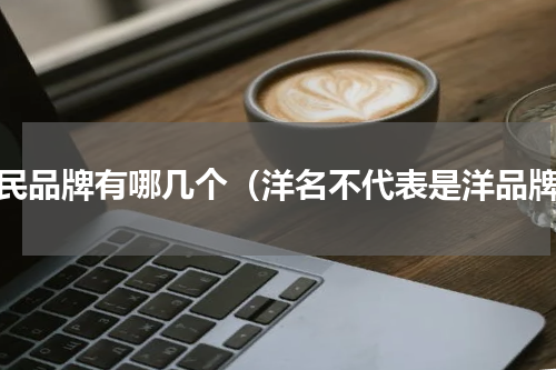 国民品牌有哪几个（洋名不代表是洋品牌）