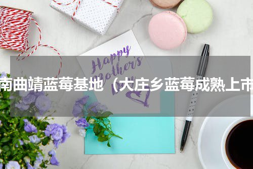 云南曲靖蓝莓基地（大庄乡蓝莓成熟上市）