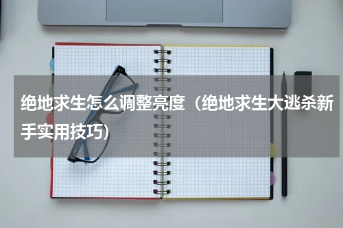 绝地求生怎么调整亮度（绝地求生大逃杀新手实用技巧）
