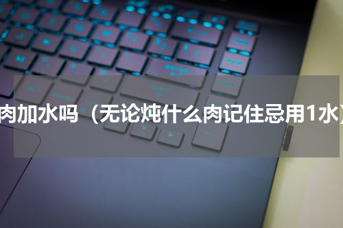 炖肉加水吗（无论炖什么肉记住忌用1水）