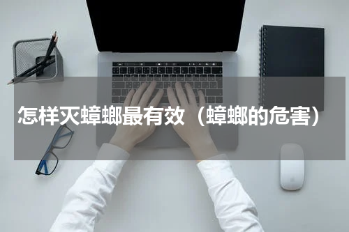 怎样灭蟑螂最有效（蟑螂的危害）