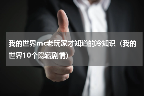 我的世界mc老玩家才知道的冷知识（我的世界10个隐藏剧情）