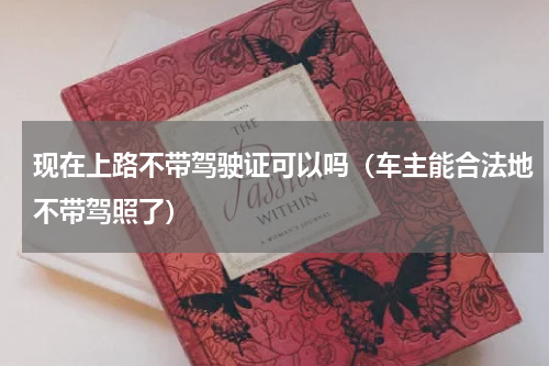 现在上路不带驾驶证可以吗（车主能合法地不带驾照了）
