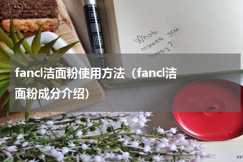 fancl洁面粉使用方法（fancl洁面粉成分介绍）