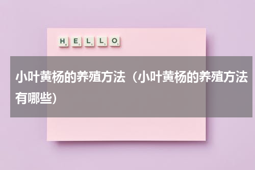 小叶黄杨的养殖方法（小叶黄杨的养殖方法有哪些）