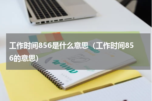 工作时间856是什么意思（工作时间856的意思）
