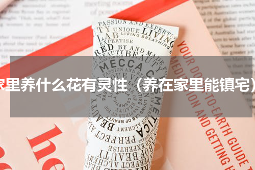 家里养什么花有灵性（养在家里能镇宅）