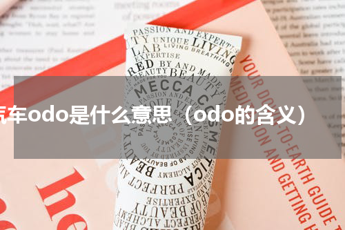 汽车odo是什么意思（odo的含义）