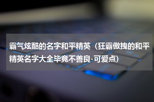 霸气炫酷的名字和平精英（狂霸傲拽的和平精英名字大全毕竟不善良-可爱点）