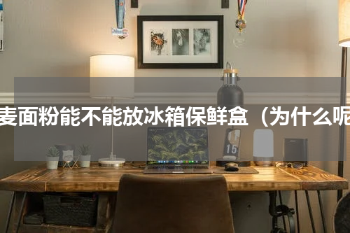 小麦面粉能不能放冰箱保鲜盒（为什么呢）