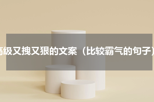 高级又拽又狠的文案（比较霸气的句子）