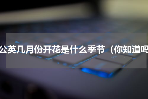 蒲公英几月份开花是什么季节（你知道吗）