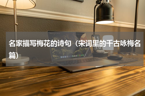 名家描写梅花的诗句（宋词里的千古咏梅名篇）