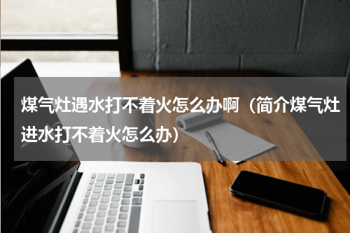 煤气灶遇水打不着火怎么办啊（简介煤气灶进水打不着火怎么办）