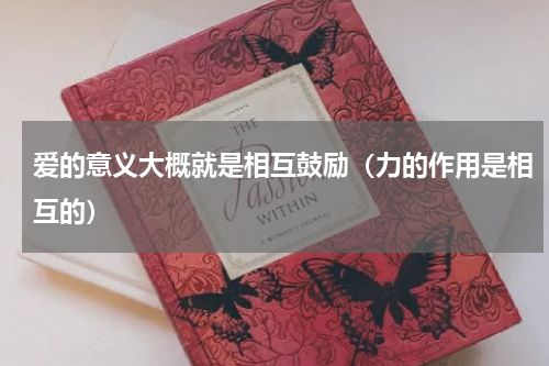 爱的意义大概就是相互鼓励（力的作用是相互的）