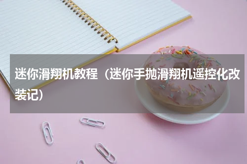 迷你滑翔机教程（迷你手抛滑翔机遥控化改装记）