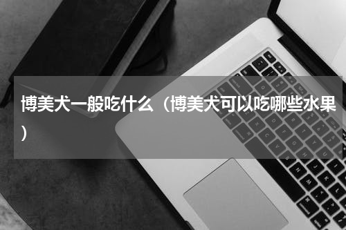 博美犬一般吃什么（博美犬可以吃哪些水果）