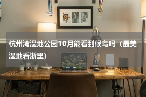 杭州湾湿地公园10月能看到候鸟吗（最美湿地看浙里）