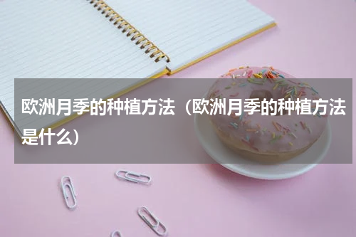 欧洲月季的种植方法（欧洲月季的种植方法是什么）