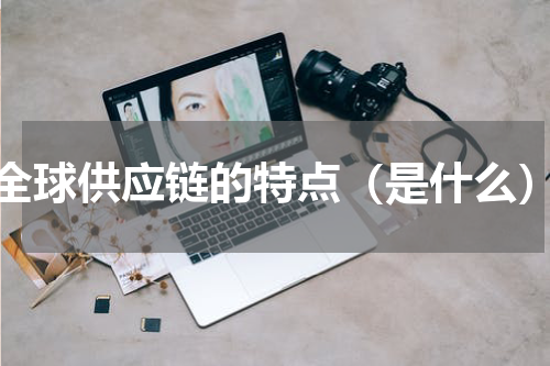 全球供应链的特点（是什么）