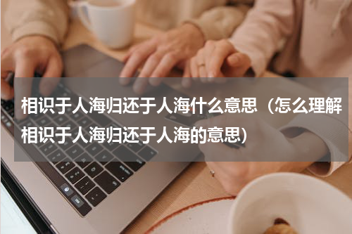 相识于人海归还于人海什么意思（怎么理解相识于人海归还于人海的意思）
