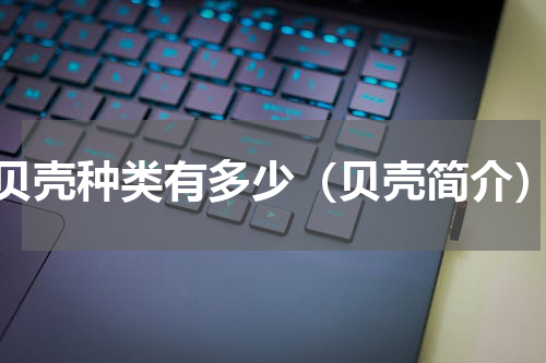 贝壳种类有多少（贝壳简介）