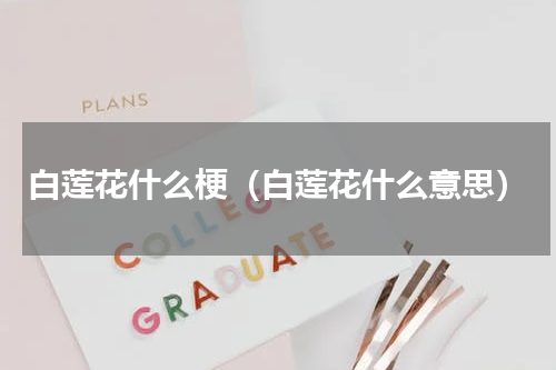 白莲花什么梗（白莲花什么意思）