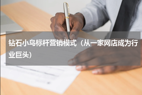 钻石小鸟标杆营销模式（从一家网店成为行业巨头）