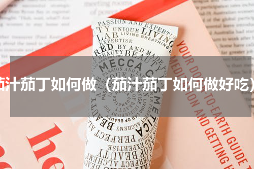 茄汁茄丁如何做（茄汁茄丁如何做好吃）