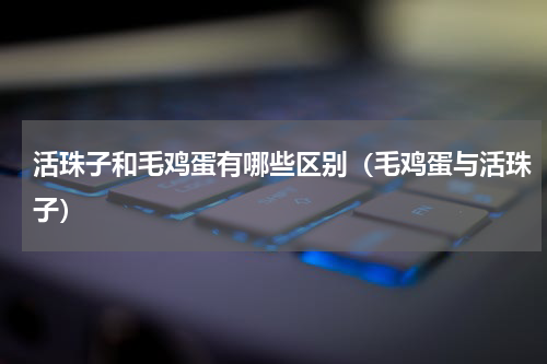 活珠子和毛鸡蛋有哪些区别（毛鸡蛋与活珠子）