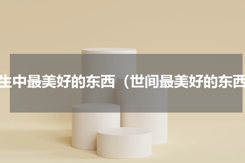 人生中最美好的东西（世间最美好的东西）