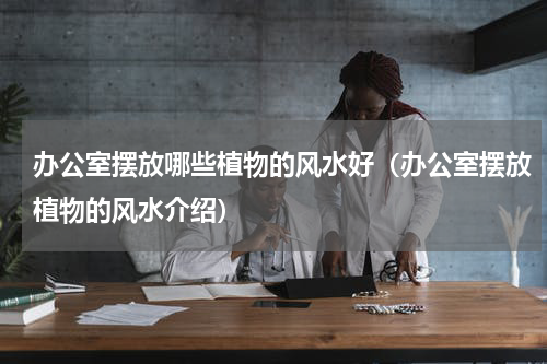 办公室摆放哪些植物的风水好（办公室摆放植物的风水介绍）