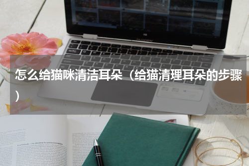 怎么给猫咪清洁耳朵（给猫清理耳朵的步骤）