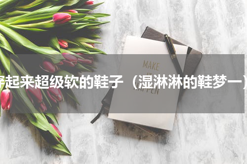 穿起来超级软的鞋子（湿淋淋的鞋梦一）