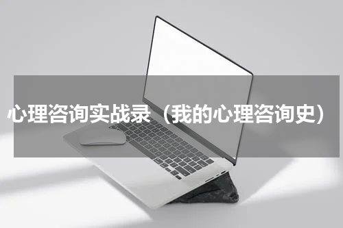 心理咨询实战录（我的心理咨询史）