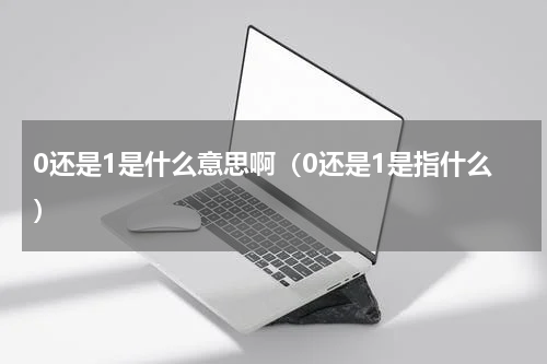 0还是1是什么意思啊（0还是1是指什么）