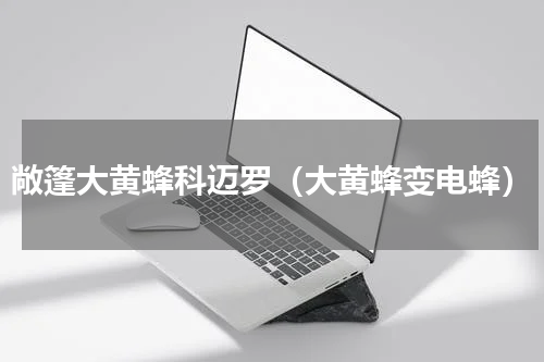 敞篷大黄蜂科迈罗（大黄蜂变电蜂）