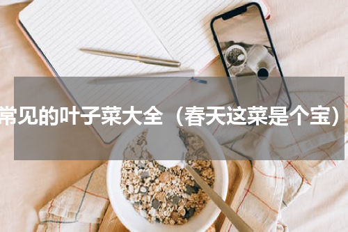 常见的叶子菜大全（春天这菜是个宝）