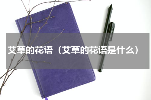 艾草的花语（艾草的花语是什么）