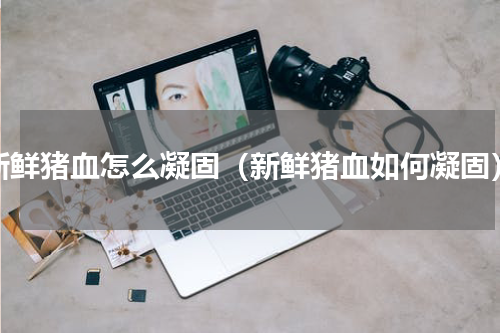 新鲜猪血怎么凝固（新鲜猪血如何凝固）